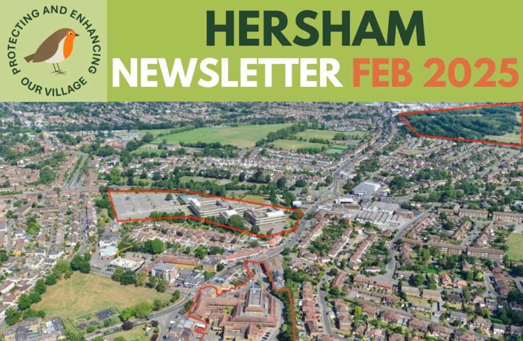 Hersham Newsletter Feb 2025