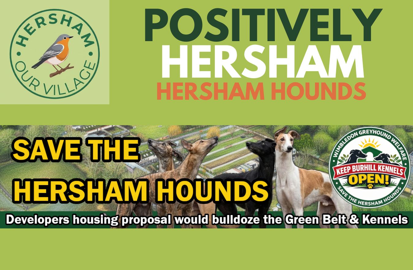 POSITIVELY HERSHAM HERSHAM HOUNDS